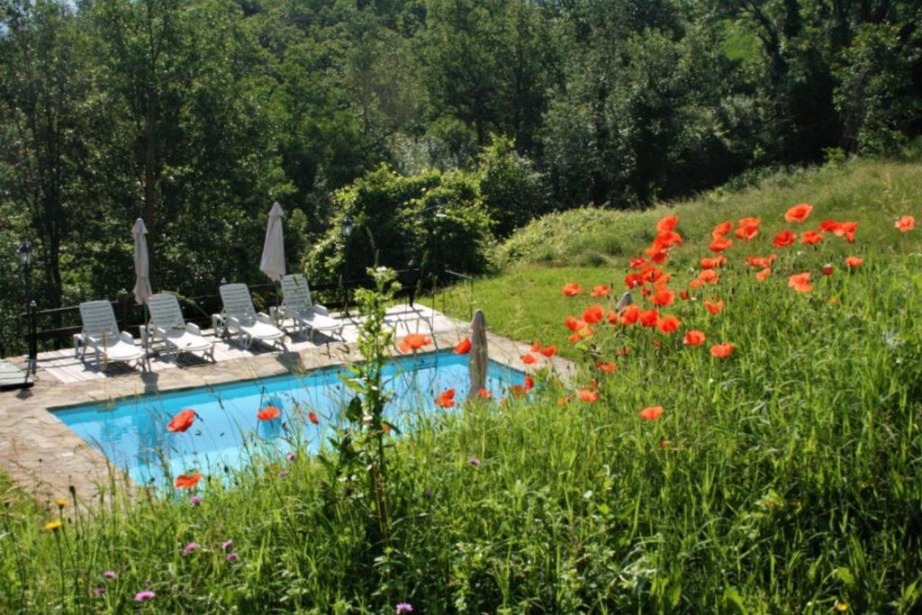 Casa Domenica - Home&More Monastero Bormida Екстер'єр фото